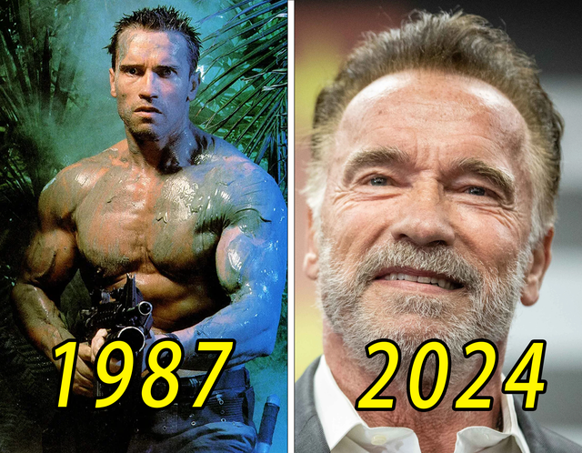 《铁血战士》演员今非昔比（1987-2024），施瓦辛格竟老了这么多