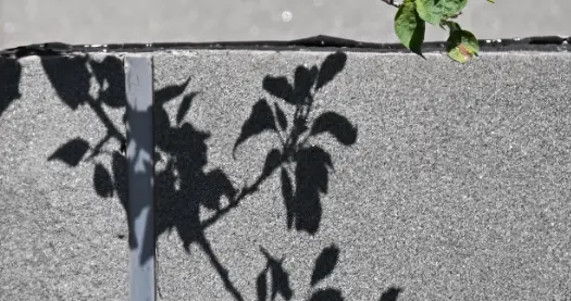 曝许凯将迎来有史以来最大的热度