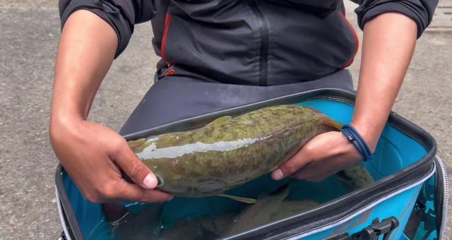 水库|可月入过万？挑战钓鱼卖鱼维持生活在垂钓圈兴起，靠谱吗？