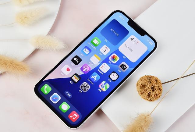 2月单品销量Top10：iPhone 16 PM大赢，荣耀X60第十