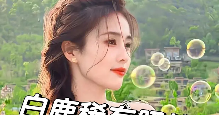 31岁不小了，白鹿别“作”了