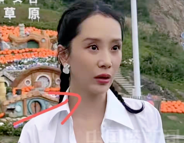 46岁海清引争议！近照曝光，厚嘴唇、大卧蚕，说话脸肌肉也好僵硬