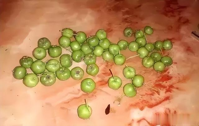 艺术品|没钱？有双手就够了！“穷玩”同样玩出境界