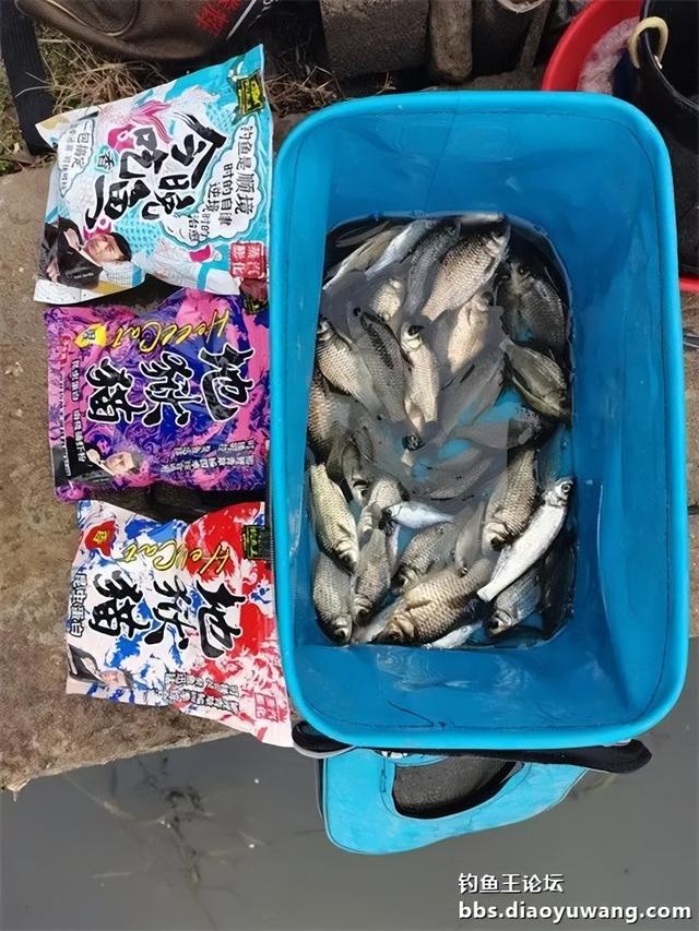 地狱猫搭档不一样，鱼获却极其相似