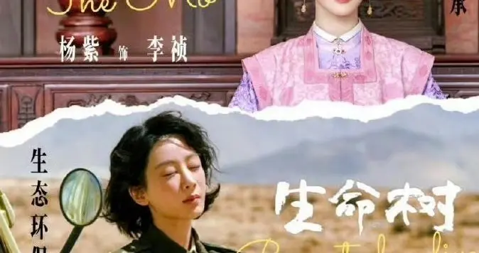 杨紫、肖战、魏大勋、成龙、白鹿、刘诗诗、胡歌、刘宇宁等