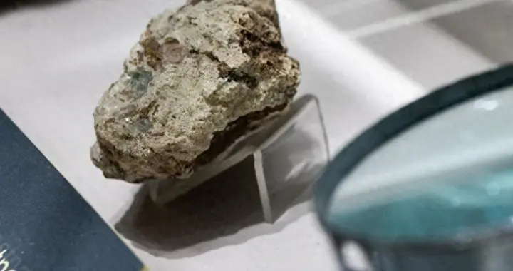 巴西大豆坐地起价？对华报价疯涨，中国买家集体停购就等两个时机