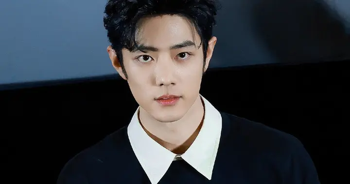 《得闲谨制》呈压倒性好评，肖战用演技打破流量偏见