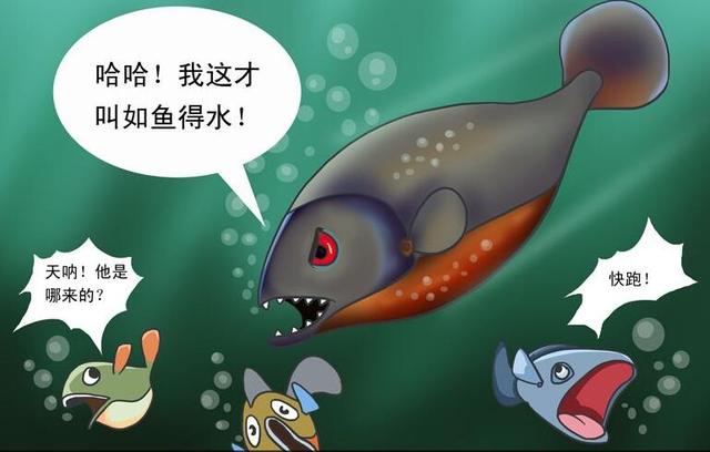 长江的“隐患”！外来鱼类猛增30种，鱼类陷入“鱼种危机”？