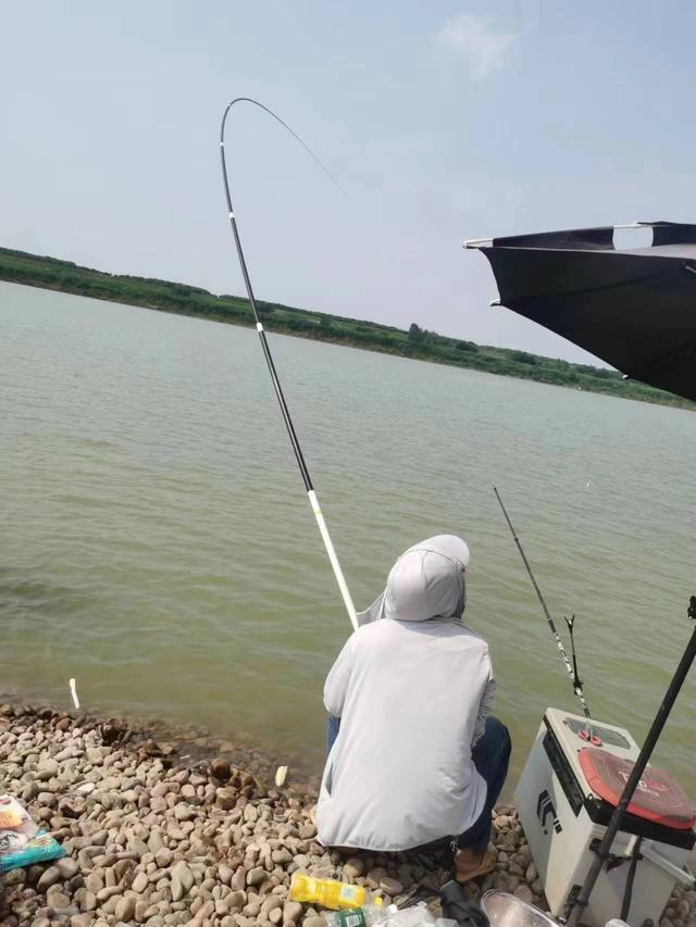 鳊鱼|初夏湿热天气野钓攻略，一样可以钓得到鱼
