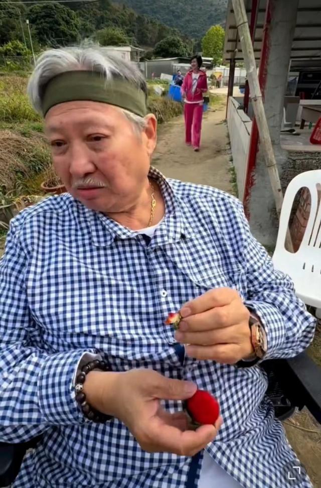 洪金宝|71岁洪金宝随家人去摘草莓全程坐轮椅，头发全白身形消瘦不少