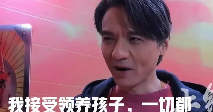 真男人！冯德伦回应舒淇不能生，接受领养孩子，一切都听舒淇的