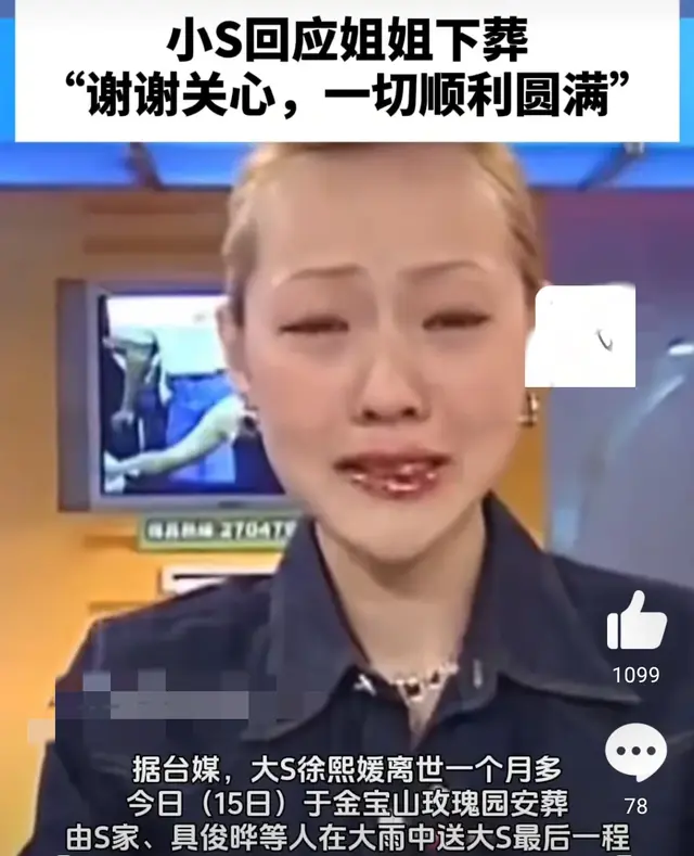S姐姐安葬现场揭秘：大雨中送行的悲痛发声