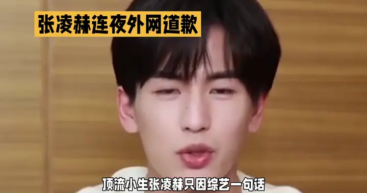 张凌赫综艺口误道歉，内娱玩笑为何触怒东南亚？