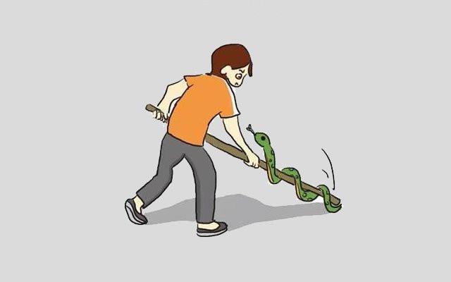 |“见蛇不打三分罪，打若不死七分罪”，为什么要打蛇？不打会怎样