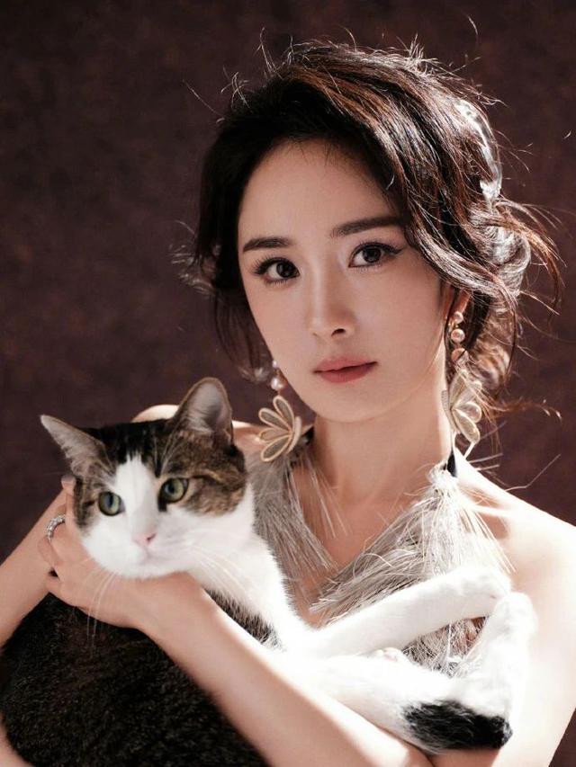 杨幂晒刮痧小猫：萌趣背后的温情与治愈