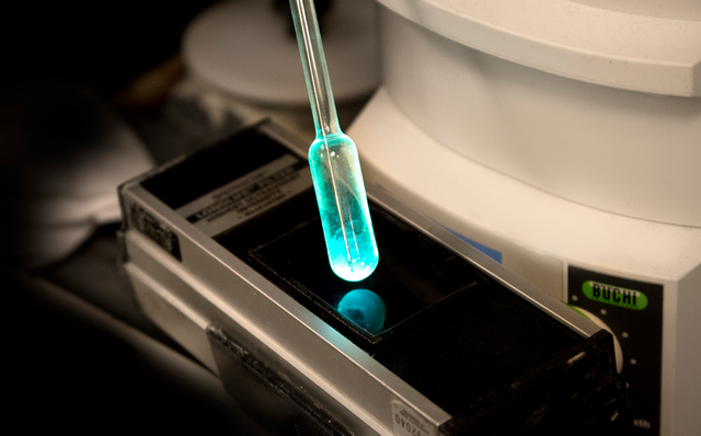 OLED迎来革命性时刻！LGD表示：蓝色磷光OLED将实现量产