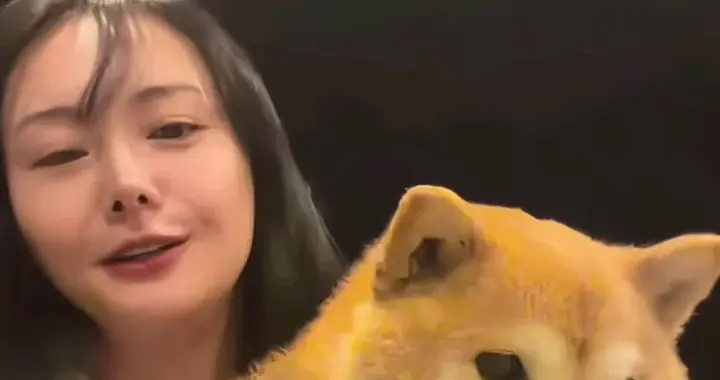 郑爽分享美国近况，穿搭不输当红明星，自曝做医美网友直呼认不出