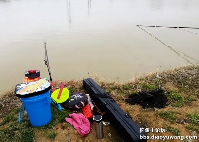 夜钓|正月十五钓鱼忙