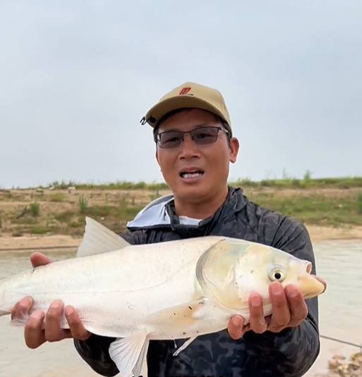 “湘资沅澧” 四大江，野钓鲢鳙经验总结，干货满满！