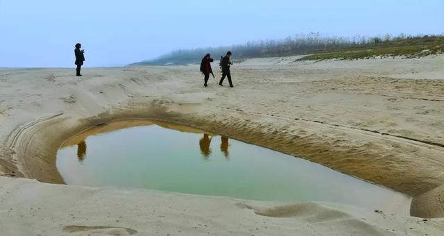 沙滩|被日本盯上的“江南大漠”，究竟有多珍贵？专家曾想用大米换沙子