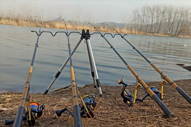 饵料|寒冬天气，为什么老头钓鱼可以爆护，溜达一圈找到答案