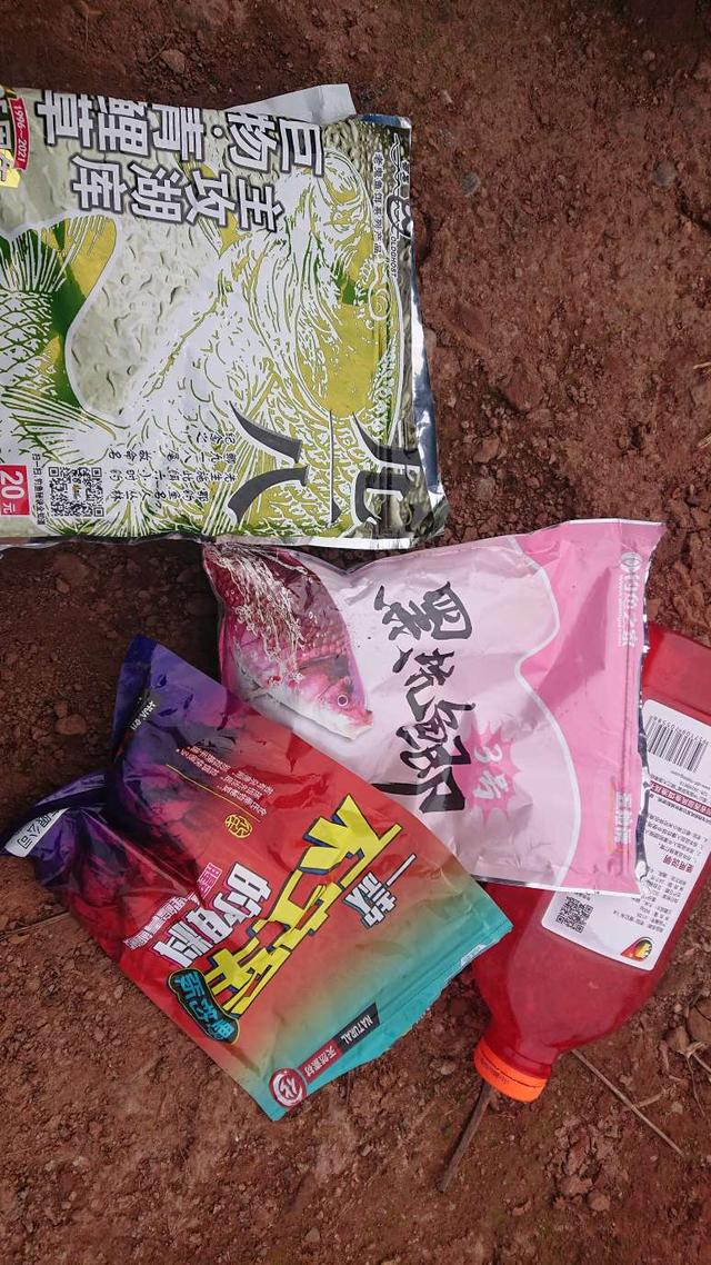 饵料|开竿鲤收竿鲫，红鲤中寻大鲫