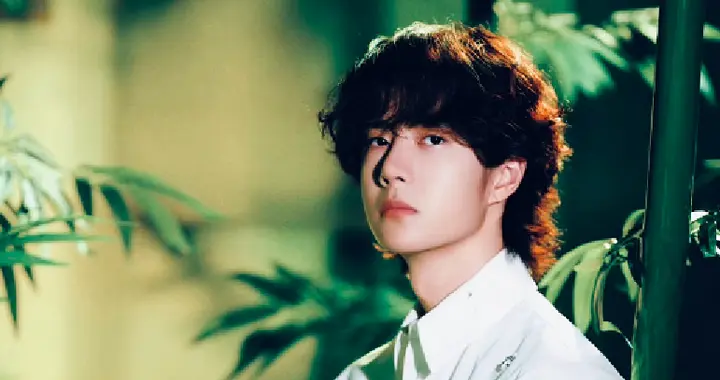 乐华回应60%营收靠王一博