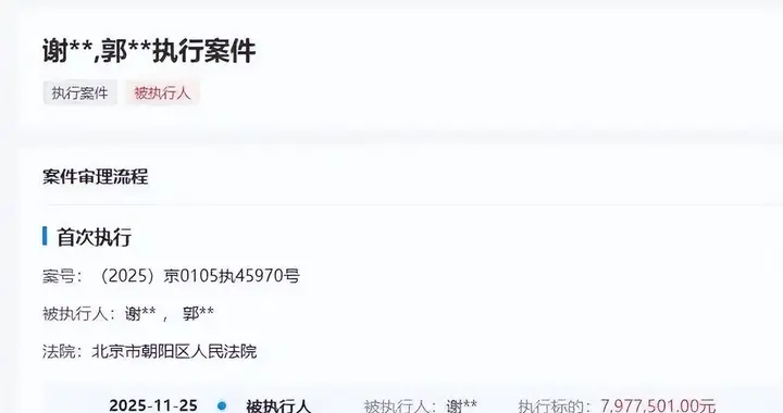 嘎子哥夫妇再被执行 797 万，谢孟伟的翻车给所有艺人提了个醒