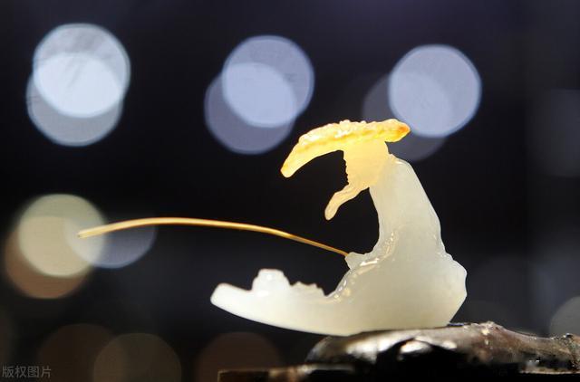 玉雕|玉代表了石之美，玉雕成为一门艺术