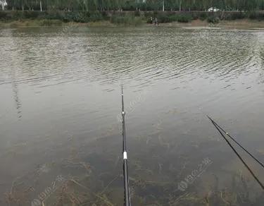 饵料|钓鱼人被忽悠是常态，中招来自于四面八方，很难避开