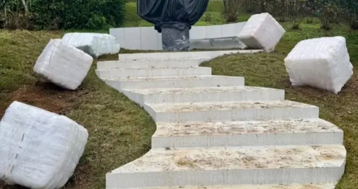 具俊晔设计的大S雕像突出“夫姓”元素，功利心太明显引粉丝不满