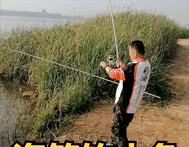 流行|我国淡水钓鱼，5个主流钓法和特点