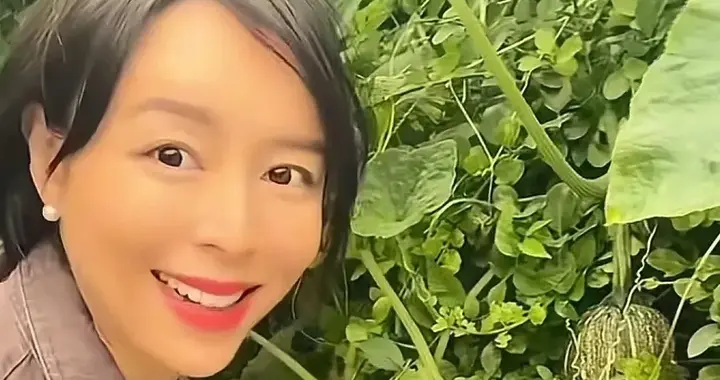 45岁女明星晒北京别墅小院，种了8颗桃树，独自居住，无性无爱