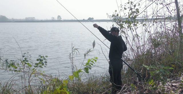 鲫鱼|春季钓鲫鱼小技巧，能近勿远很重要，重点关注钓草头