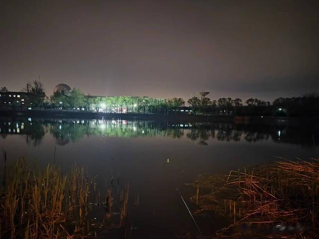 饵料|钓鱼日记——2023年4月4日（上庄水库夜钓）