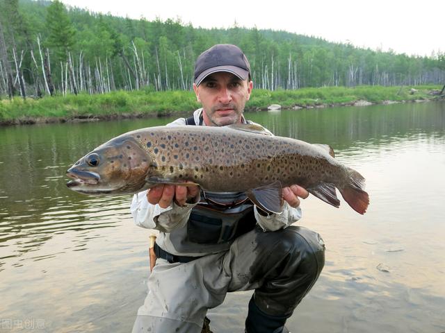 |新手钓鱼人如何选购探鱼器