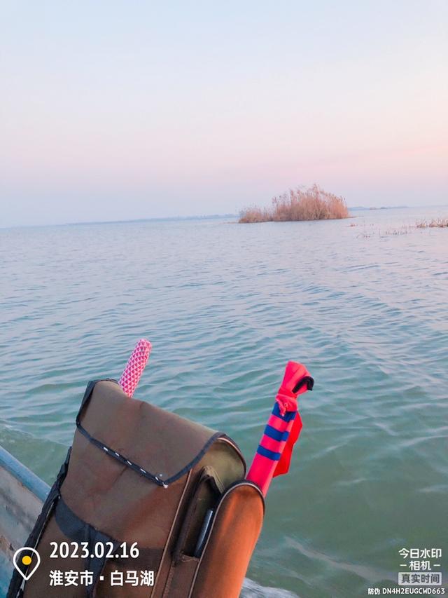 |新钓组治反光，板鲫上钩争先恐后