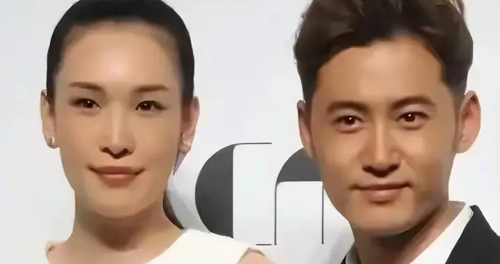 佟晨洁结束11年婚姻：我嫁的不是老公，是上海长不大的儿子魏巍