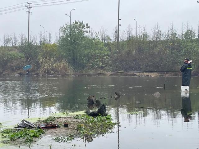 |冬钓大板鲫还得是传统钓！老钓手分享5条经验，一般人不告诉他