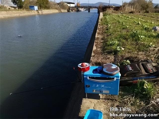 饵料|本味配大鲫，必须翘嘴加板鲫