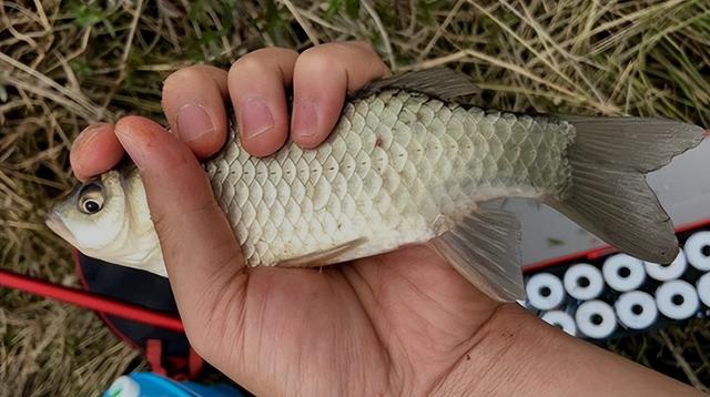 |冬季垂钓这“四小”，一个都不能少！