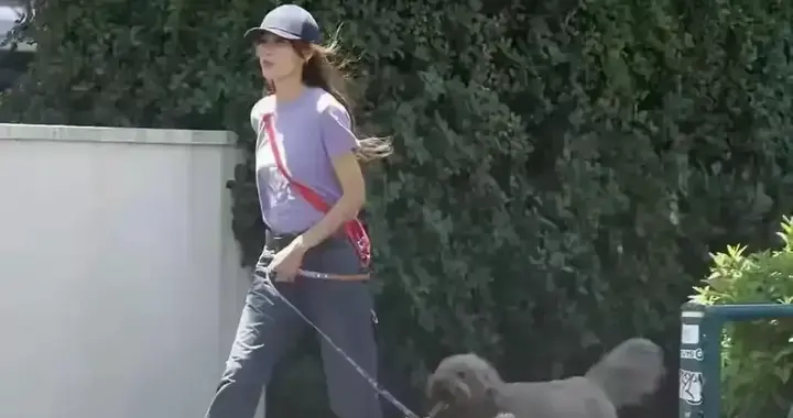 木村拓哉与妻子工藤静香一起去遛狗，两人结婚二十多年，感情很好