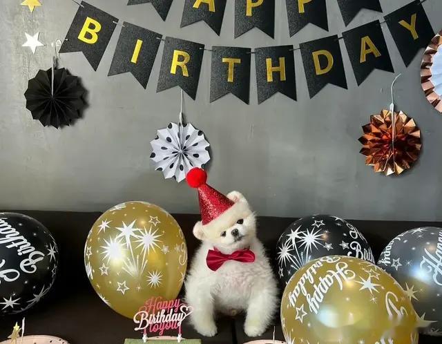 鹿晗过生日 一众好友来祝贺