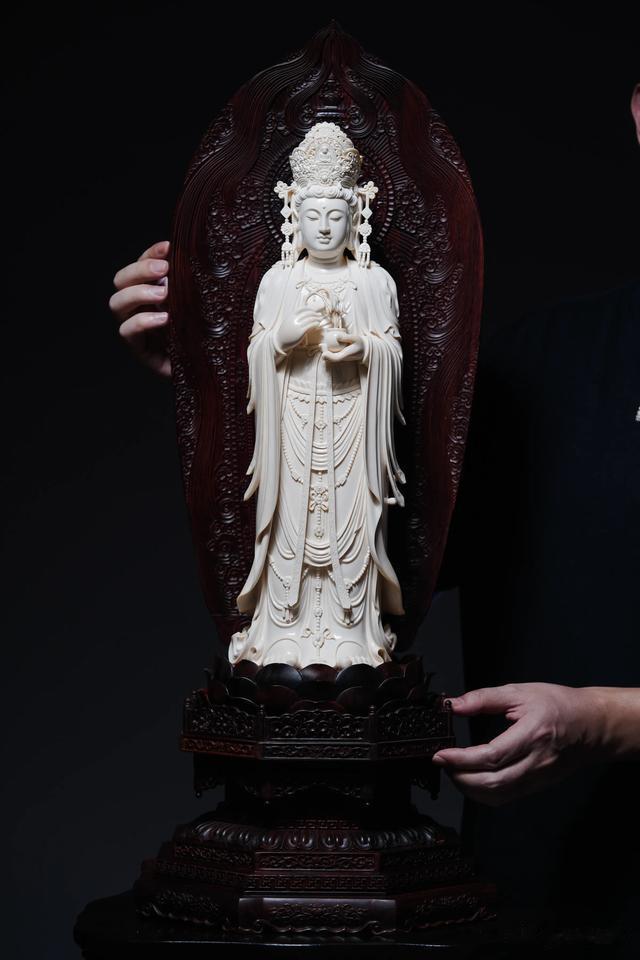 小叶紫檀×猛犸 | 杨柳观音