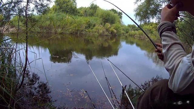 野钓用蚯蚓调平水是有条件的，不能一概而论，跟浮漂有直接关系