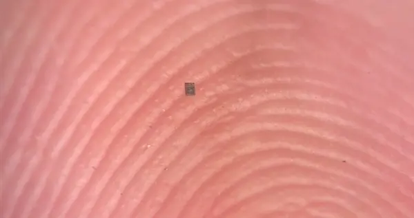 還沒一粒鹽大！全球最小自主機器人誕生：我有一個大膽的想法