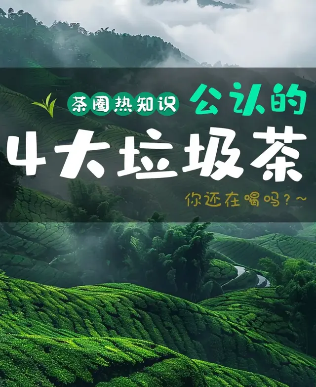 茶叶圈公认四大垃圾茶？