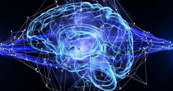 大模型長腦子了？研究發現LLM中層會自發模擬人腦進化