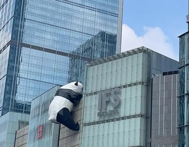 在没落的大公司工作，是一种什么体验