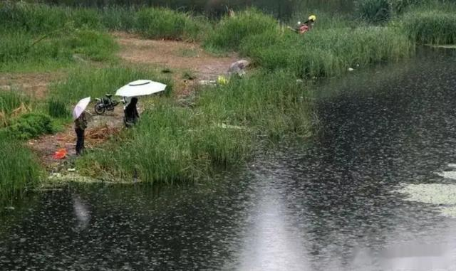 饵料|伏天到，别再匆忙去野钓！掌握4个“铁规”，大鱼追着钩子咬